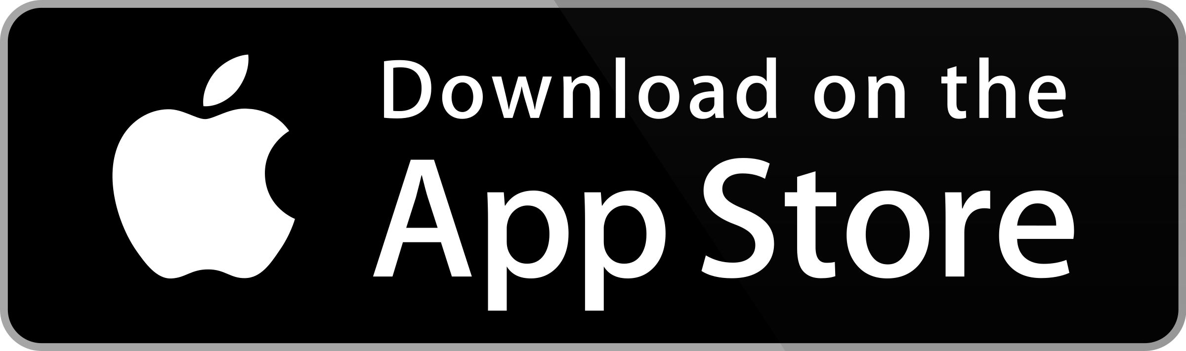 Google Play Store